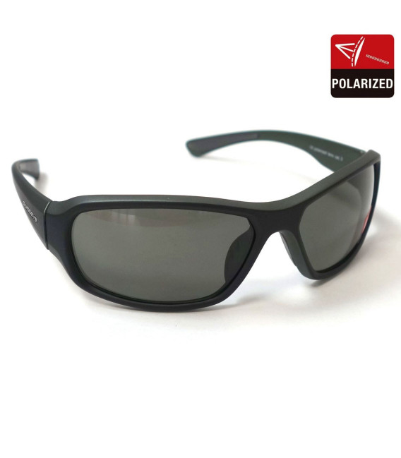 LUNETTES SOLAIRES FREERIDE VERRES FUMES POLARISES