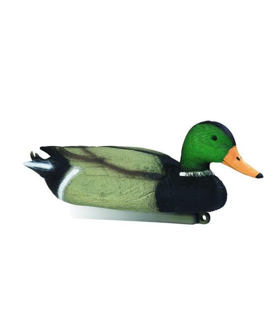 Colvert mâle Lot de 12
