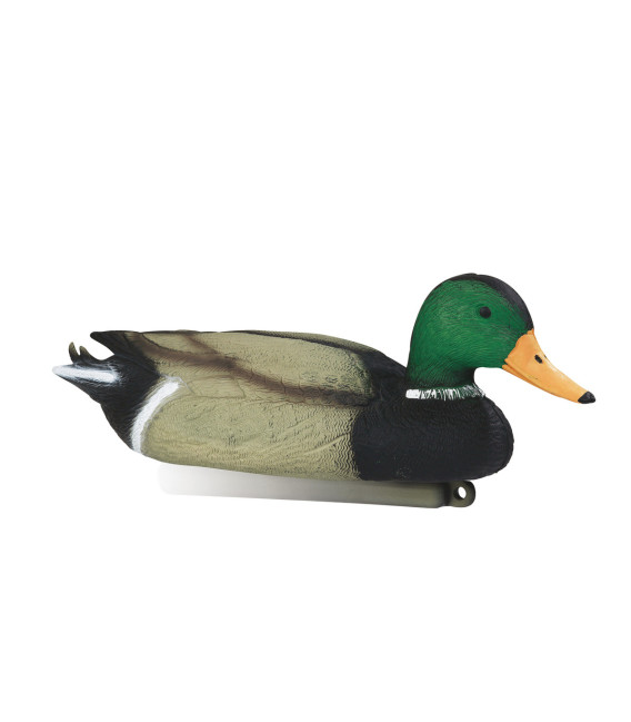 Colvert mâle moussé Lot de 12