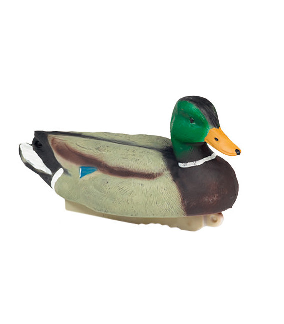 Colvert mâle HD
