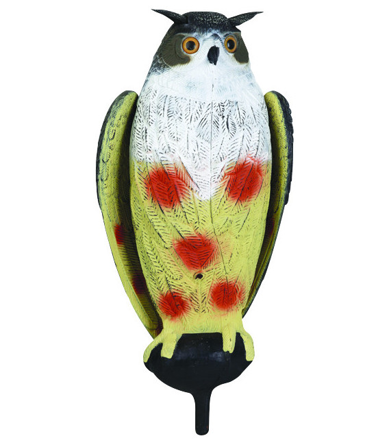 Grand duc ailes battantes