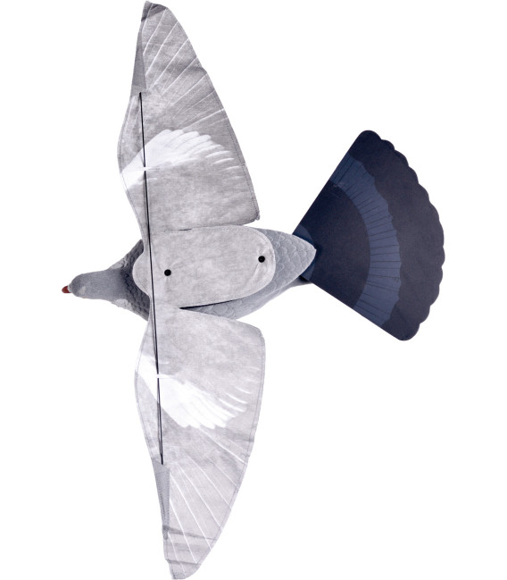 Lot de 12 Pigeons step-flap