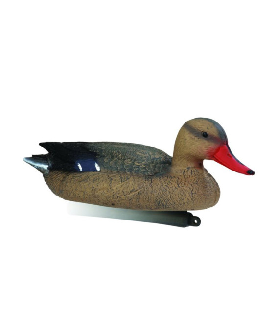 COLVERT FEMELLE MOUSEE