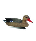 COLVERT FEMELLE MOUSEE
