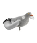 Pigeon ailes rotative électrique