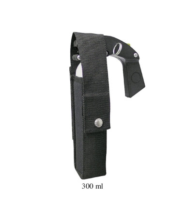 Etui aerosol : 300 ml