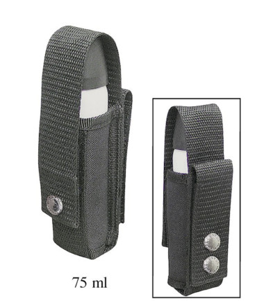 Etui aerosol : 75 ml