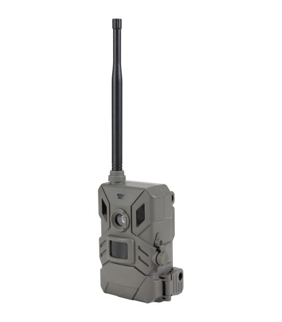 Caméra 4g chasse Marron Prohunt