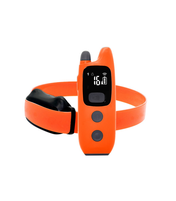 Collier De Dressage 600 M Orange