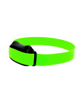 Collier Electronique 600 M Additionnel Vert