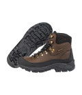 Chaussure Epervier Marron